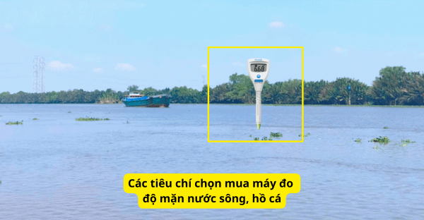 Các tiêu chí chọn mua máy đo độ mặn nước sông, hồ cá phù hợp