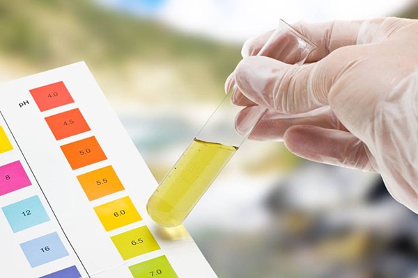 Kiểm tra pH nức phục vụ cho nhiều lĩnh vực sản xuất