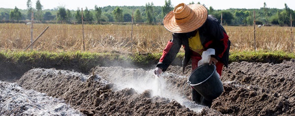 Sử dụng các loại phân hữu cơ