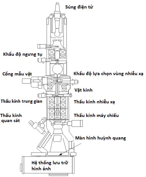 Cấu tạo kính hiển vi điện tử TEM