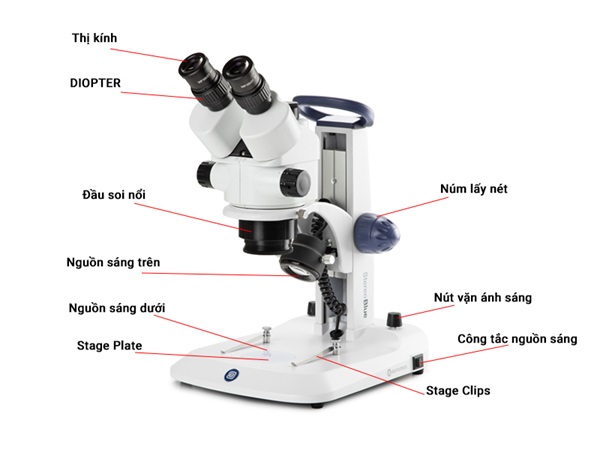 Cấu tạo kính hiển vi soi nổi 
