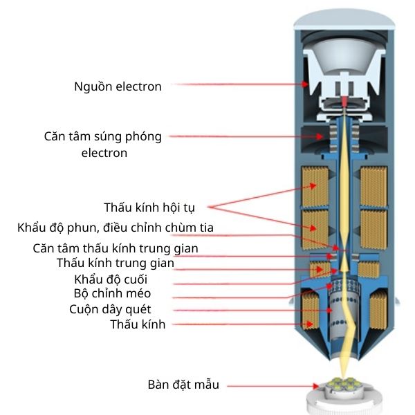 Cấu tạo của kính hiển vi điện tử quét SEM