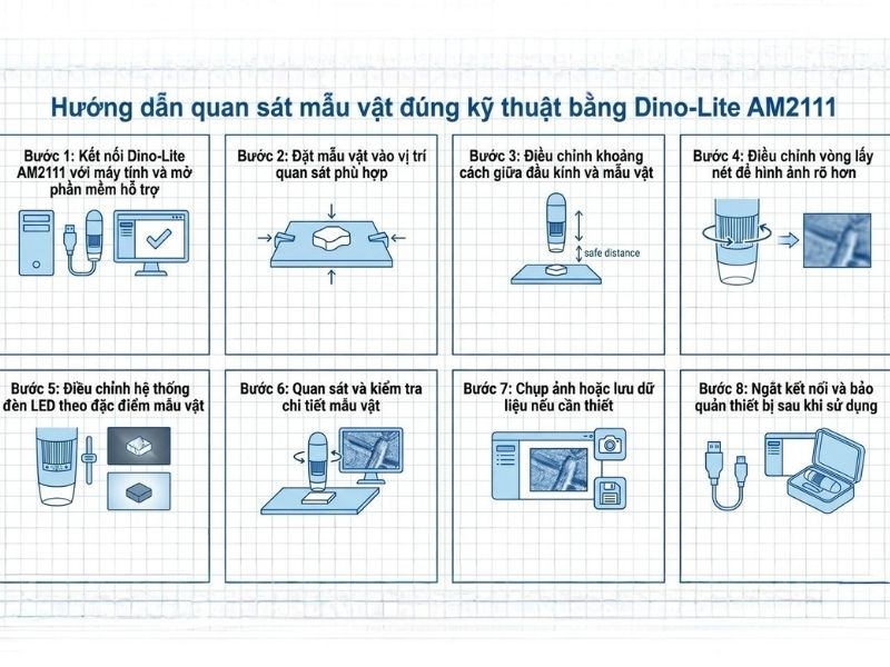 Hướng dẫn quan sát mẫu vật đúng kỹ thuật bằng Dino-Lite AM2111