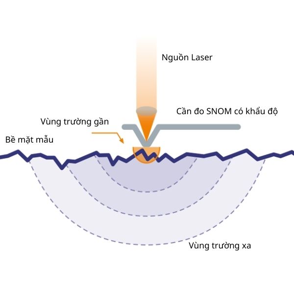 Cấu tạo của kính hiển vi quang học SNOM