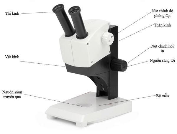 Cấu tạo kính hiển vi soi nổi và chức năng