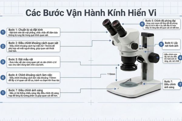 Cách sử dụng kính hiển vi Olympus SZ61