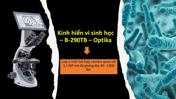 Kính hiển vi sinh học 2 mắt Optika B-290TB