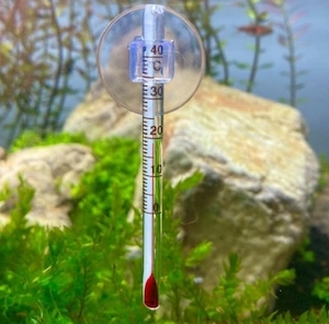 Top 3 máy đo nhiệt độ nước hồ cá giá tốt cho gia đình