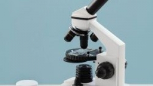 Độ phân giải của kính hiển vi là gì? Các yếu tố ảnh hưởng đến độ phân giải