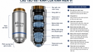  Vật kính kính hiển vi là gì? Các loại vật kính và cách lựa chọn phù hợp