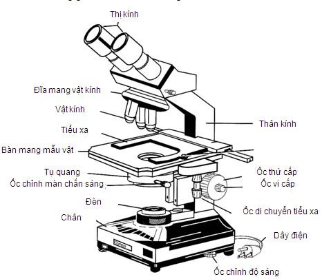 Hướng dẫn sử dụng và thiết lập cơ bản kính hiển vi