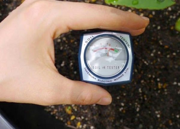 Máy đo pH và độ ẩm đất Takemura DM-15