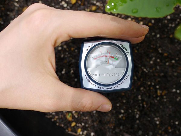 Máy đo PH được dùng để đo độ PH của đất